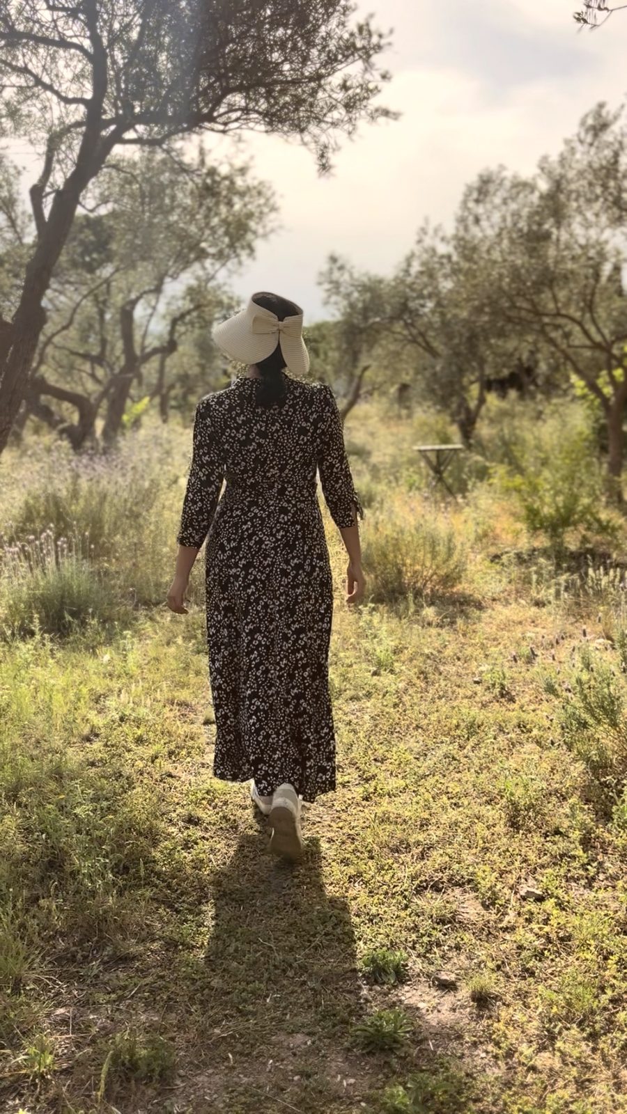 Walking through an olive grove